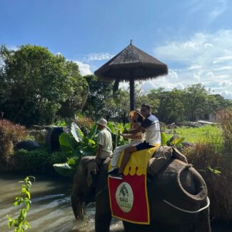 bali safari marine park 5