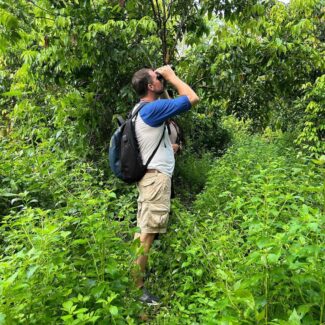 taman nasional bali barat snrokling menjangan