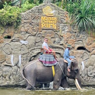 Memandikan gajah di danau taman