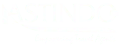 Logo ASTINDO