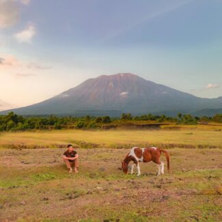 Pemandangan savana Tianyar dan kuda