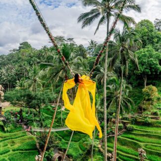 bali swing ubud 5